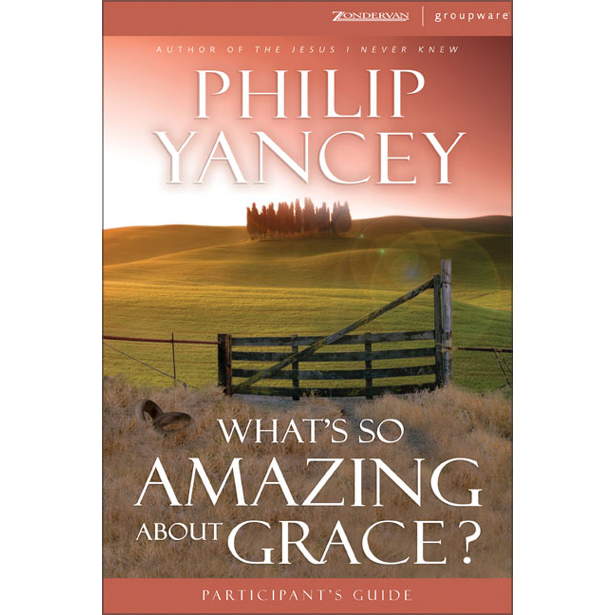 Whats So Amazing About Grace Participants Guide (Paperback)