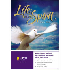 KJV Life In The Spirit (Hardcover)