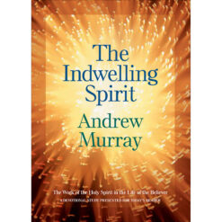The Indwelling Spirit (Paperback)
