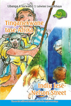 Tinganekwane tase-Afrika, Indlu lese- Nelson Street