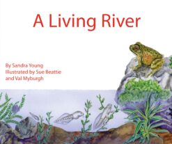 JUMBO INFORMATION READER: BLUE - A LIVING RIVER