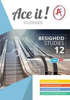 Ace it! Besigheidstudies Graad 12