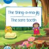 DUZI BUGS: BLUE LEVEL 3: BOOK 3: THE THING-A-MA-JIG | THE SORE TOOTH