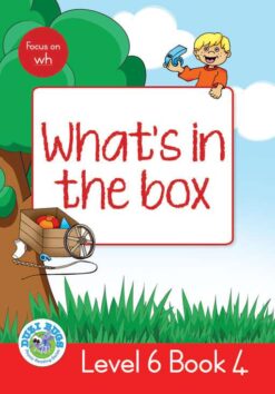 DUZI BUGS: RED LEVEL 6: BOOK 4: WHAT'S IN THE BOX?