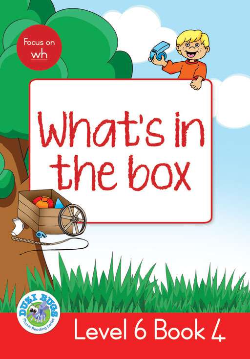 DUZI BUGS: RED LEVEL 6: BOOK 4: WHAT'S IN THE BOX?