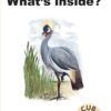 CUB READING SCHEME (ENGLISH) LEVEL 12 BK 3: WHAT'S INSIDE
