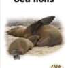 CUB READING SCHEME (ENGLISH) LEVEL 6 BK 2: SEA LIONS