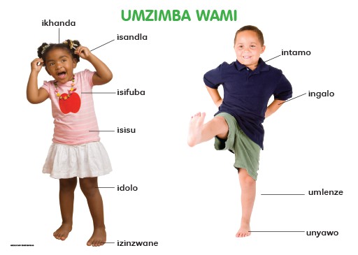 CHART: MASIHAMBISANE IBANGA R: UMZIMBA WAMI A2