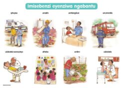 CHART: MASIHAMBISANE IBANGA R: IMISEBENZI EYENZIWA A2