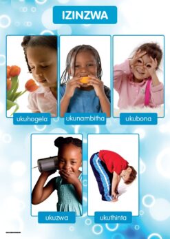 CHART: MASIHAMBISANE IBANGA R: IZINZWA A2