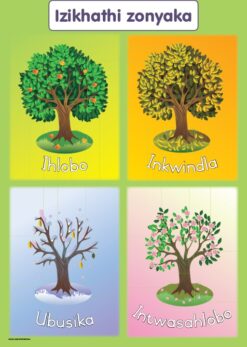 CHART: MASIHAMBISANE IBANGA R: IZIKHATHI ZONYAKA A2