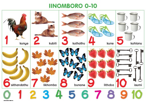 CHART: HAND IN HAND GRADE R (NDEBELE) INOMBORO 0-10 A2