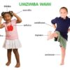 CHART: HAND IN HAND GRADE R (NDEBELE) UMZIMBA WAMI A2