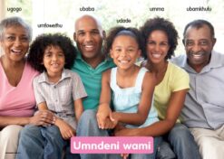 CHART: HAND IN HAND GRADE R (NDEBELE) UMNDENI WAMI A2