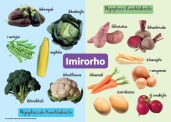 CHART: HAND IN HAND GRADE R (NDEBELE) IMIRORHO A2
