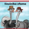 Zimnandi Iindaba Red Series: L1 B1: Iinciniba Efama