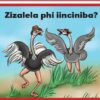 Zimnandi Iindaba Red Series: L1 B2: Zizalela Phi Iinciniba?