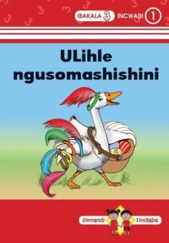 Zimnandi Iindaba Red Series: L3 B1: Ulihle Ngusomashishini