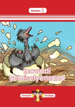 Zimnandi Iindaba Red Series: Activity Book