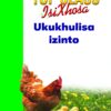 TOP CLASS ISIXHOSA FAL GRADE 3 BIG BOOK 4: UKUKHULISA IZINTO