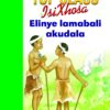 TOP CLASS ISIXHOSA FAL GRADE 3 BIG BOOK 10: ILIZWE LAM