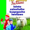 TOP CLASS ISIXHOSA FAL GRADE 3 BIG BOOK 16: IZINTO EZINEFUTHE KUQOQOSHO LWELIZWE