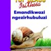 TOP CLASS ISIXHOSA FAL GRADE 2 BIG BOOK 6: EMANDIKWAZI NGEZIRHUBULUZI