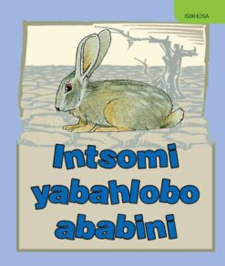Intsomi yabahlobo ababini