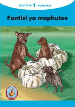 KGOGO LE DITSALA TSA GAGWE BLUE (SETSWANA) KGATO 1 BUKA YA 5