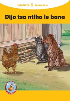 KGOGO LE DITSALA TSA GAGWE YELLOW SERIES KGATO 1 BUKA YA 4
