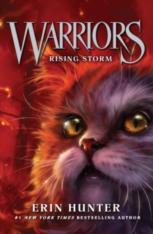 Rising Storm : Book 4 - 9780007140053