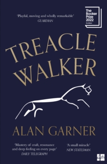 Treacle Walker - 9780008477806