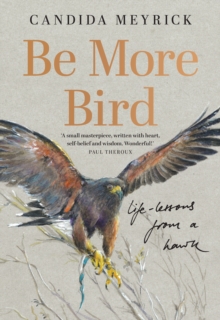 Be More Bird : Life Lessons from a Hawk
