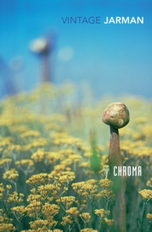 Chroma : A Book of Colour - June '93 - 9780099474913