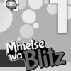 Blitz Mental Maths Grade 1 Teacher’s Guide (Sepedi)