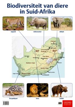 Poster: Natuurwetenskappe en Tegnologie – Biodiversiteit van diere in SA