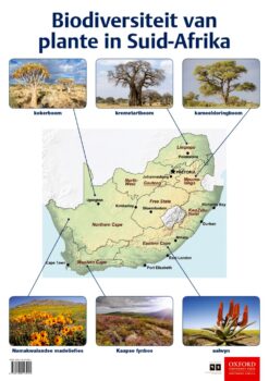 Poster: Natuurwetenskappe en Tegnologie – Biodiversiteit van plante in SA