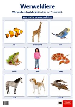 Poster: Natuurwetenskappe en Tegnologie – Werweldiere