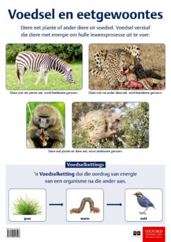 Poster: Natuurwetenskappe en Tegnologie – Voedsel en eetgewoontes