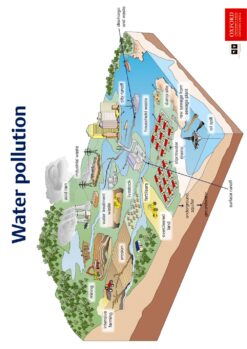 Poster (Natural Sciences and Technology): Water pollution