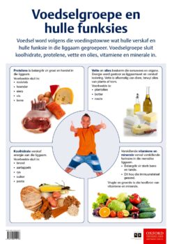Poster: Natuurwetenskappe en Tegnologie – Voedselgroepe en hulle funksies