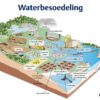 Poster: Natuurwetenskappe en Tegnologie – Waterbesoedeling
