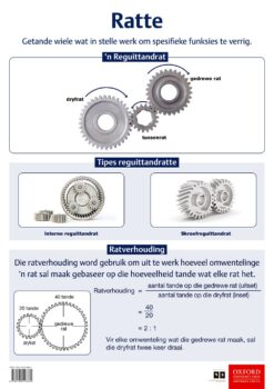 Poster Tegnologie: Ratte