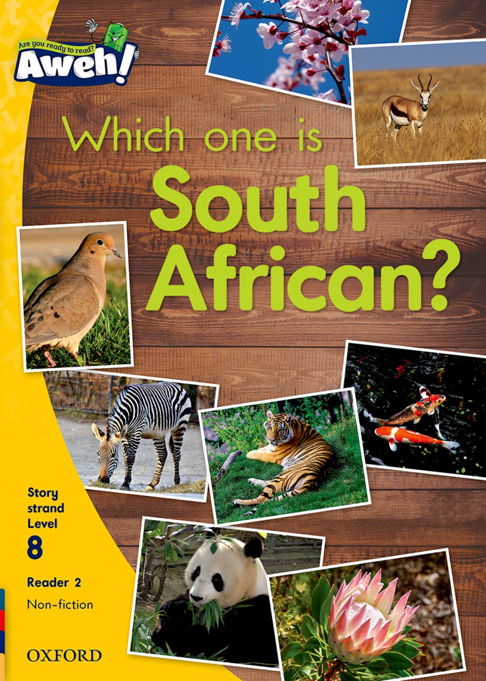 Aweh! Grade 2 Level 8 Reader 2: Which one is South African?
