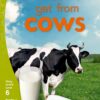 Aweh! Grade 2 Level 6 Reader 4: What we get from cows