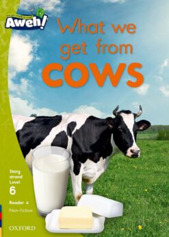 Aweh! Grade 2 Level 6 Reader 4: What we get from cows