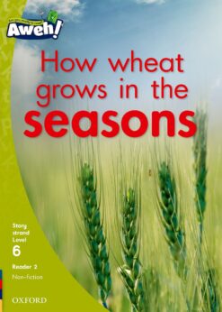 Aweh! Grade 2 Level 6 Reader 2: How wheat grows in the seasons