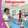 Aweh! IBanga 3 Inqanaba 9 Incwadi yokufunda 5: Ndinganceda njani?