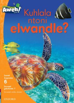 Aweh! IBanga 2 Inqanaba 6 Incwadi yokufunda 7: Kuhlala ntoni elwandle?