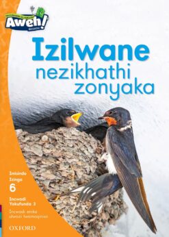 Aweh! Ibanga 2 Izinga 6 Incwadi Yokufunda 3: Izilwane nezikhathi zonyaka
